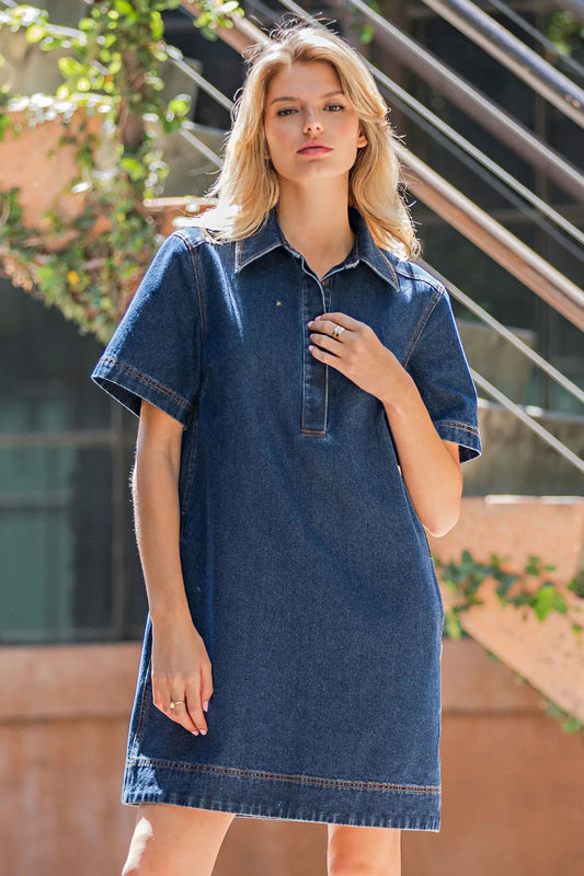 The Blue Ridge Denim Dress